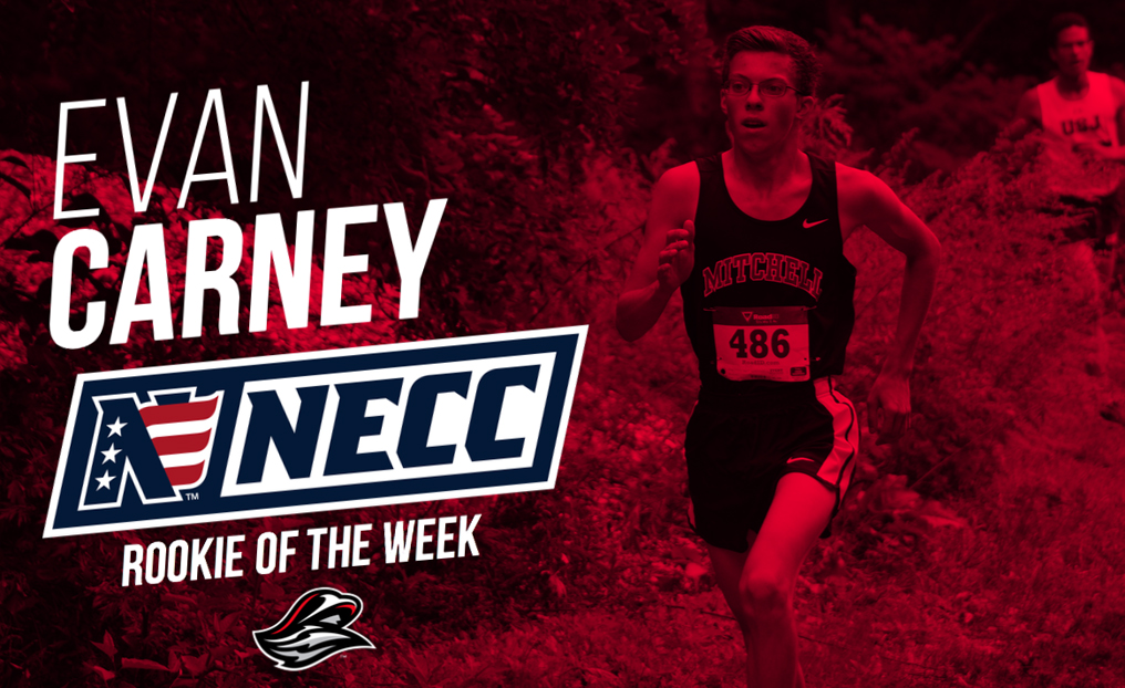 XC's Carney Named NECC Rookie of the Week