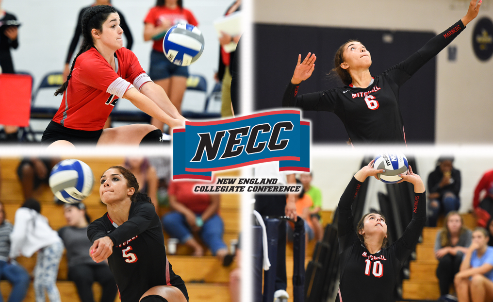 Four Mariners Earn NECC Volleyball Honors