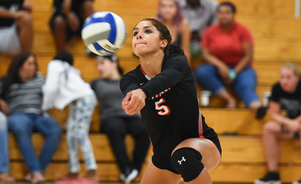 Volleyball Loses in Four Sets at Elms