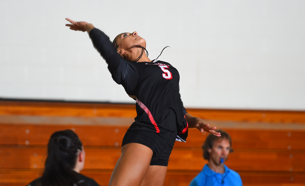 Volleyball Falls in Four Sets at Lesley