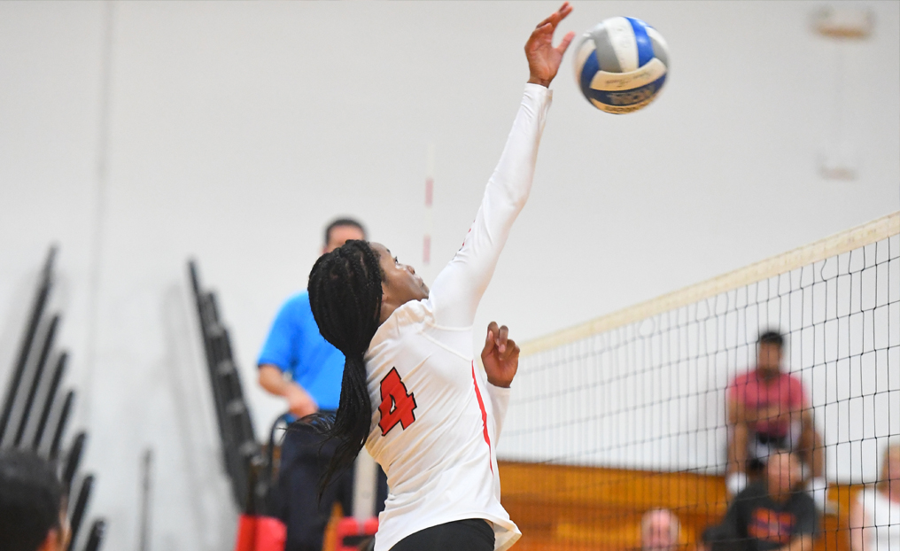 Volleyball Loses NECC Showdown with Southern Vermont