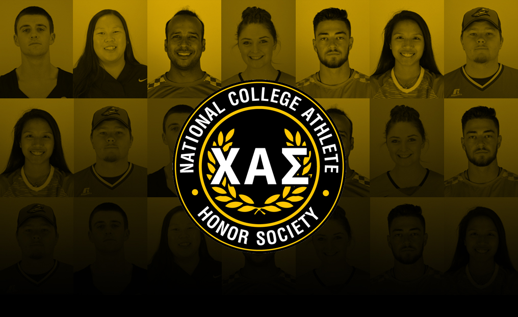 Mitchell Adds Seven to Chi Alpha Sigma