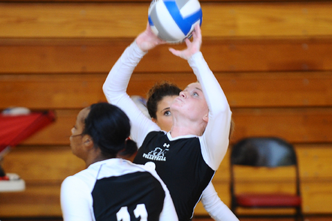Volleyball Wins Home Opener