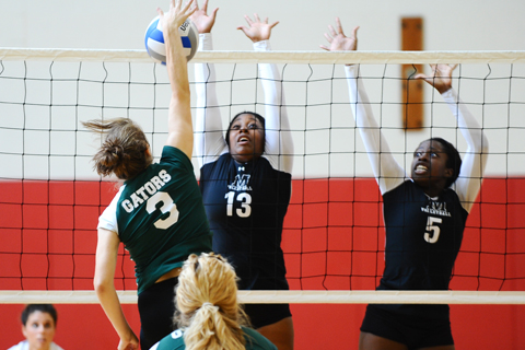Women's Volleyball Splits on Opening Day
