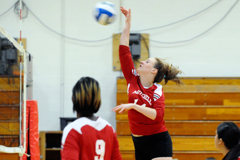 Volleyball Drops Two at DWC