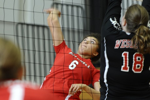 Volleyball's Garcia Earns NECC Honors
