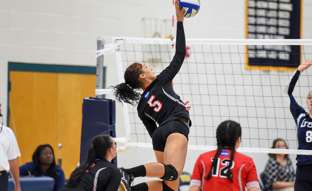 Volleyball Falls to Lasell, Mount Ida