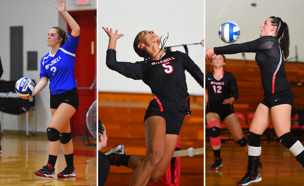 Volleyball Has Three Honored by NECC