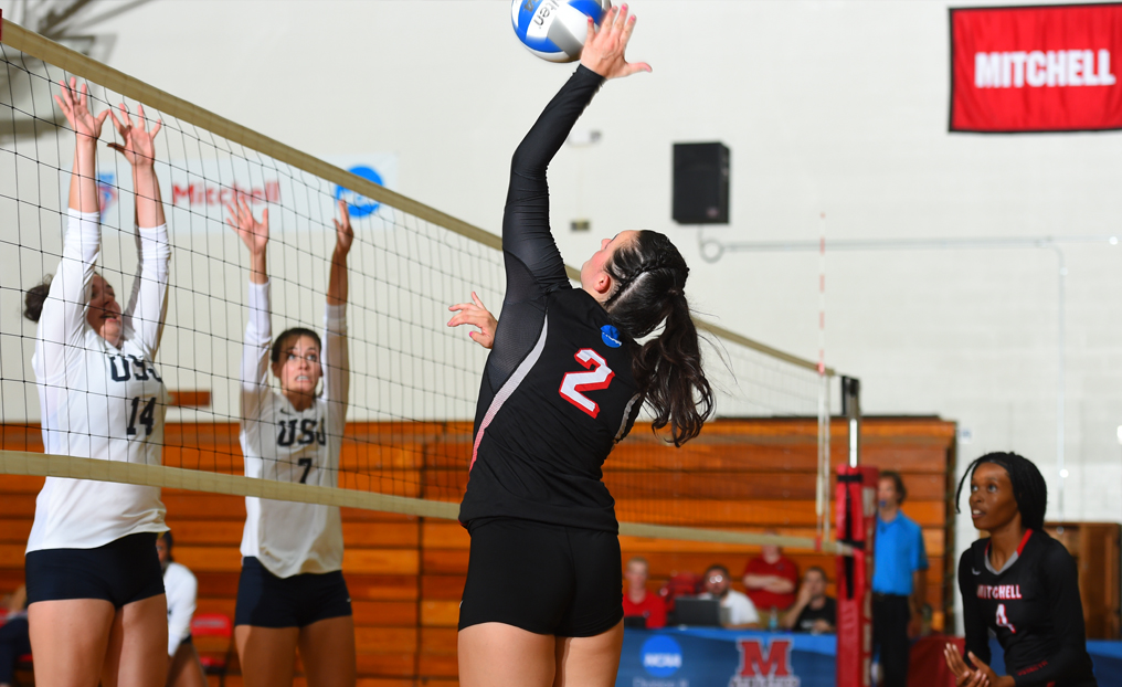 Volleyball Topped by Westfield State