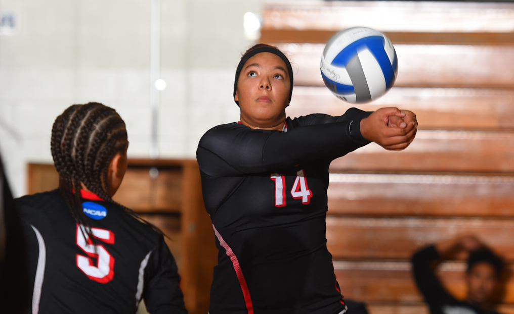Volleyball Loses in Five Sets to Elms