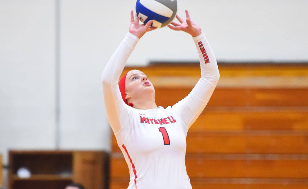 Volleyball Topped at Bay Path