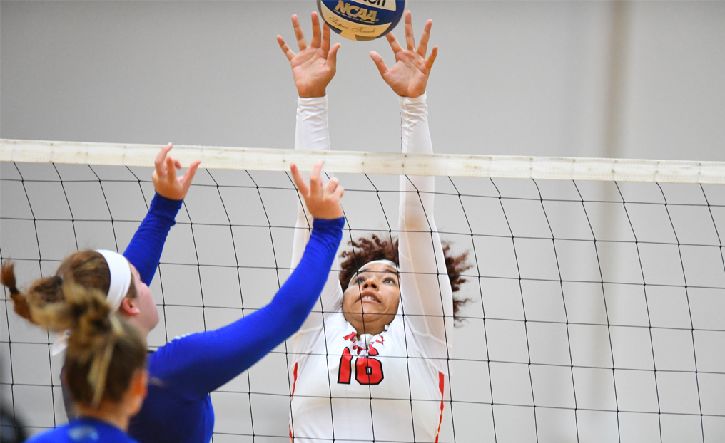 Volleyball Fights Hard Against Conn College