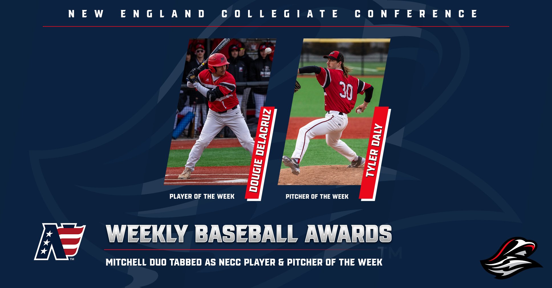 Baseball Duo Nabs NECC Weekly Honors