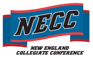 2008 NECC All-Conference Women’s Volleyball Teams Announced