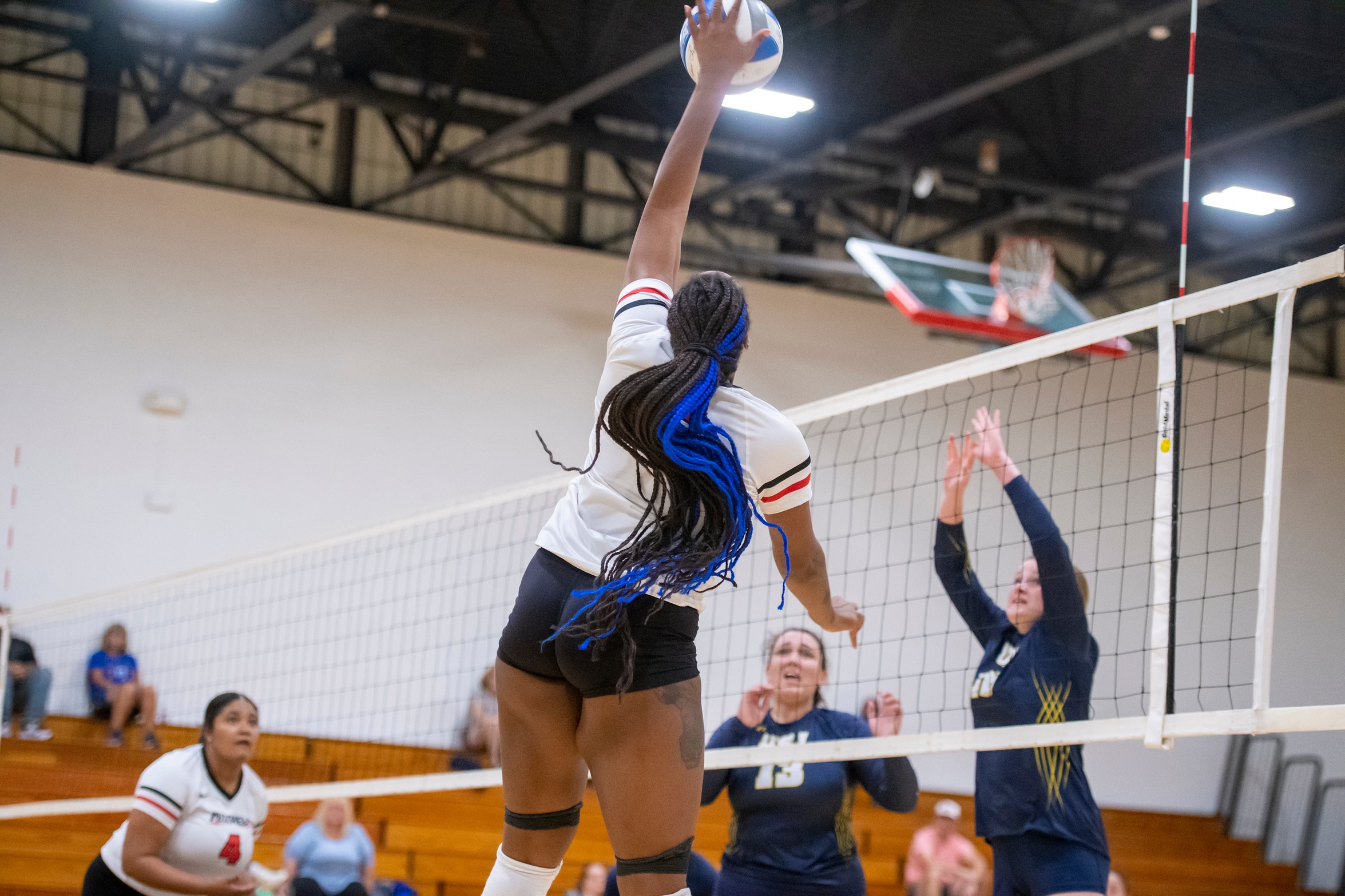 Western Connecticut Streaks Past Volleyball