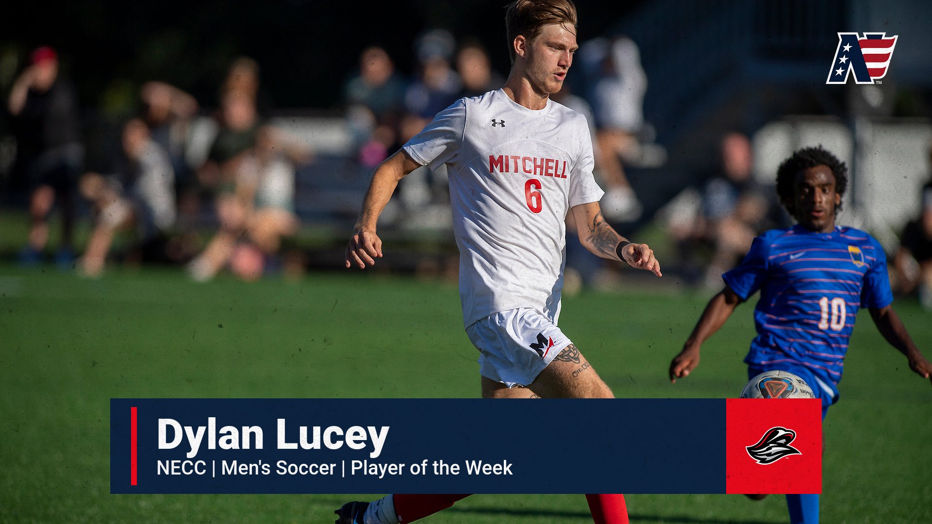 Lucey Selected as NECC Player of the Week
