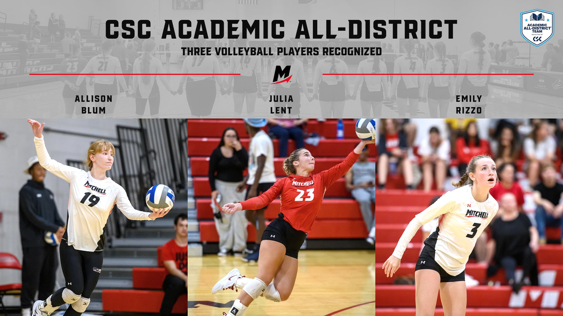 Three Volleyball Players Named to CSC Academic All-District Team