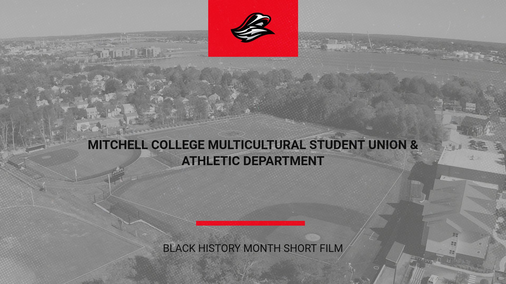 Mitchell College Multicultural Student Union & Athletic Department Release Black History Month Short Film